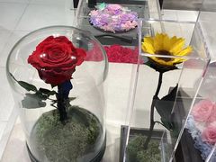-ROSEONLY诺誓(国际广场购物中心店)