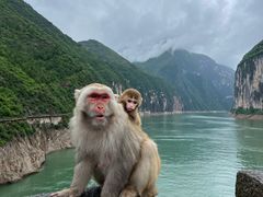 -白帝城·瞿塘峡景区