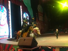 -俄罗斯国家大马戏团