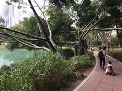 -江头公园