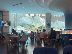 -帝企鹅自助餐厅•儿童岛•真企鹅(长隆企鹅酒店)