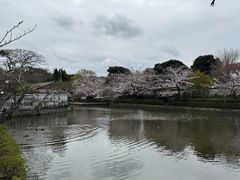 -鹤冈八幡宫