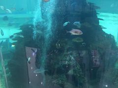 -鸿通城购物中心