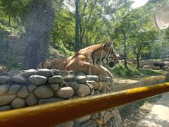 -栾川竹海野生动物园