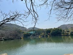 -白马涧龙池景区