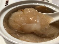 -新同乐鱼翅酒家(美丽华店)