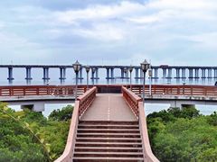 -宝安西湾红树林湿地公园