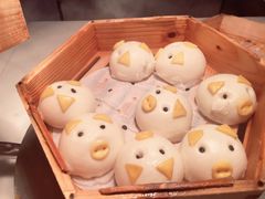 -帝企鹅自助餐厅•儿童岛•真企鹅(长隆企鹅酒店)