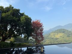 -大余丫山旅游度假区