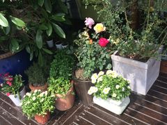 -MEET COFFEE婉约咖啡(宝善公寓店)