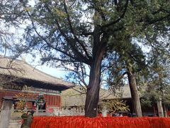 -红螺寺