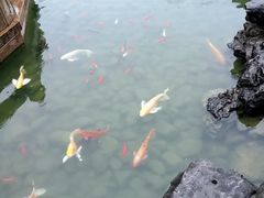 -祝家花園(伯渎港店)