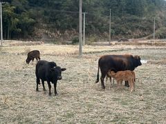 -广州科技贸易职业学院