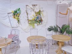 -共舞时光猫咖·狗咖(新街口店)