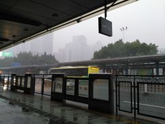-天河体育中心游泳馆