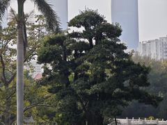 -南普陀寺