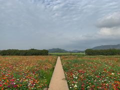 -光明小镇欢乐田园