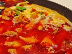 -新辣道鱼火锅(西直门店)