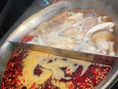 -九鼎轩脆毛肚火锅(三钢里店)