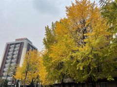 -四川大学(华西校区)