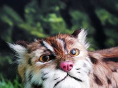 -房山世界地质公园博物馆