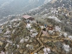 -大岭沟猕猴桃谷风景区