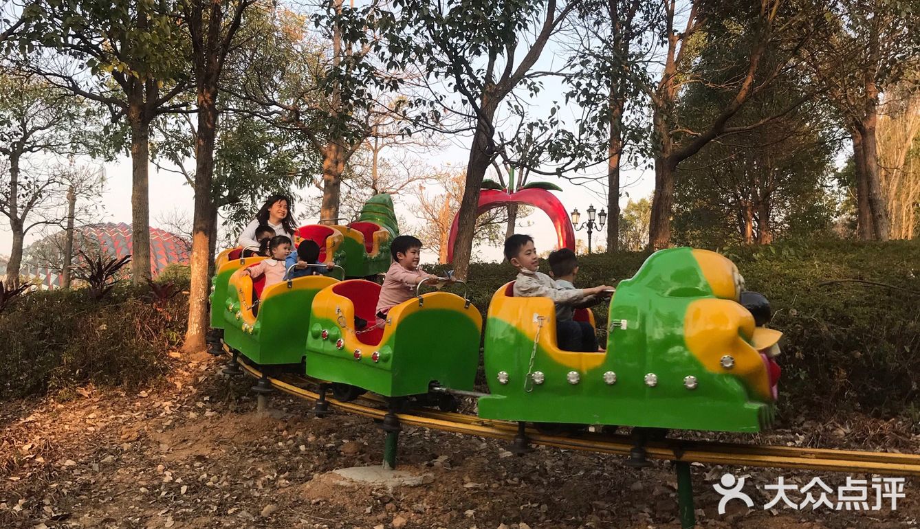 广州周边露营｜杉树林Glamping