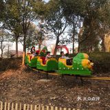 广州周边露营｜杉树林Glamping