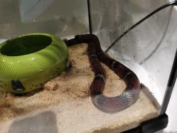 -酷嗒动物文化乐园(cutezoo西溪乐天城店)