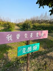 -前小桔亲子创意农场·草莓采摘·露营烧烤