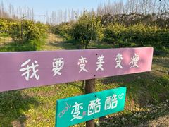 -前小桔亲子创意农场·草莓采摘·露营烧烤