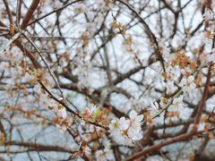 -广州市流溪河国家森林公园