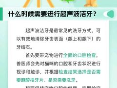 -瑞派申生动物医院·24H夜诊·国际动物医疗中心·骨外科(吴中路店)