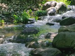 -新虹桥中心花园