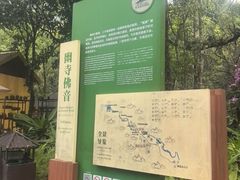 -莫里热带雨林景区