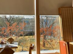-味千拉面(金融街店)