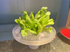 -王家渡火锅店(棕榈泉店)