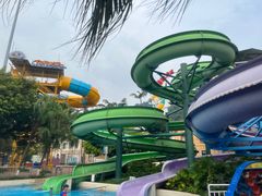 -重庆海昌加勒比海水世界