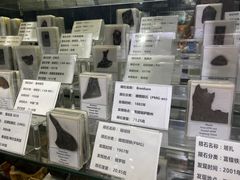 -志强陨石馆(双季花艺店)