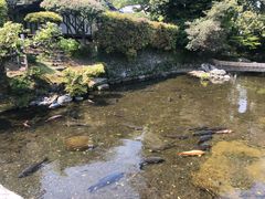 -水前寺成趣园