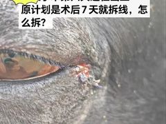 -申普宠物医院(总院)