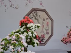 -上海方塔园