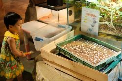 -酷嗒动物文化乐园(cutezoo西溪乐天城店)