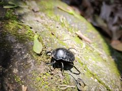 -东南悬空寺方广岩