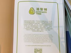 -油梨树AVOCADO TREE(顺义新国展店)