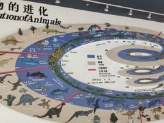 -昆明动物博物馆