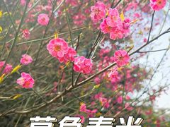 -西安外国语大学(长安校区)
