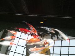 -苏州环秀晓筑养生度假村