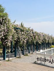 -太湖雪蚕桑文化园