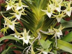 -北京植物园-展览温室